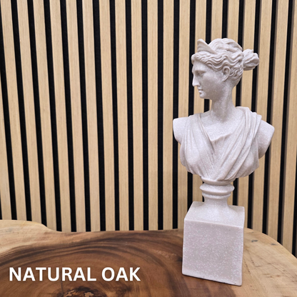 Hochwertige Akustiklamellenwand (verschiedene Farben)